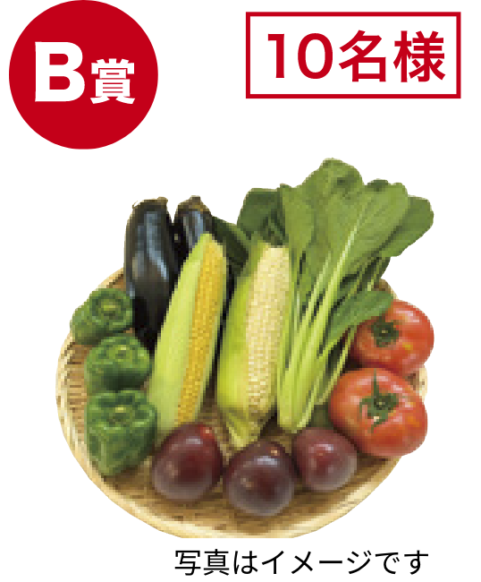 B賞 10名様